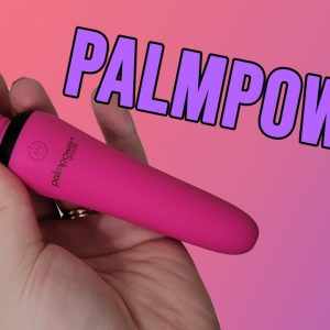 Sex Toy Review - PalmPower Groove Mini Wand Clitoral Vibrator Adult Vibrator